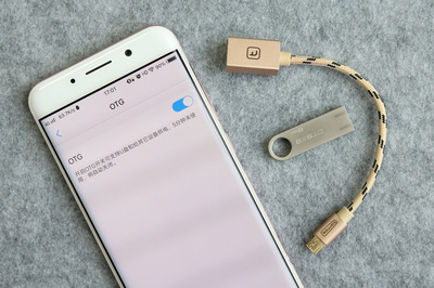 手機不支持插存儲卡？不怕，有OTG線的“優美”幫忙